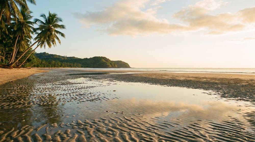 Wide flat low-tide beach on the west coast of Koh Samui at golden hour, tide pools reflecting a warm sky, leaning palms and a distant headland