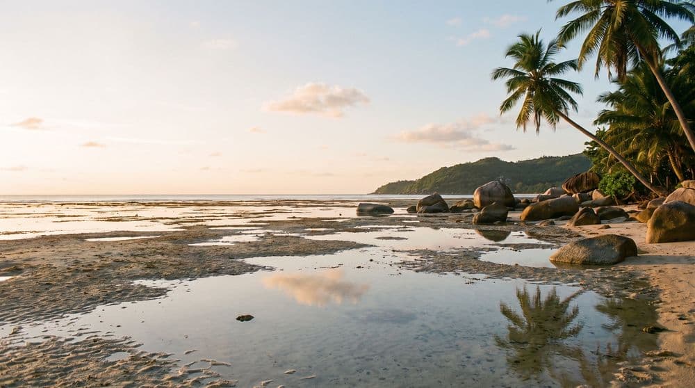 Golden-hour low-tide sandbars and tide pools mirroring the sky, granite boulders and leaning coconut palms along a quiet stretch of Koh Samui's south coast