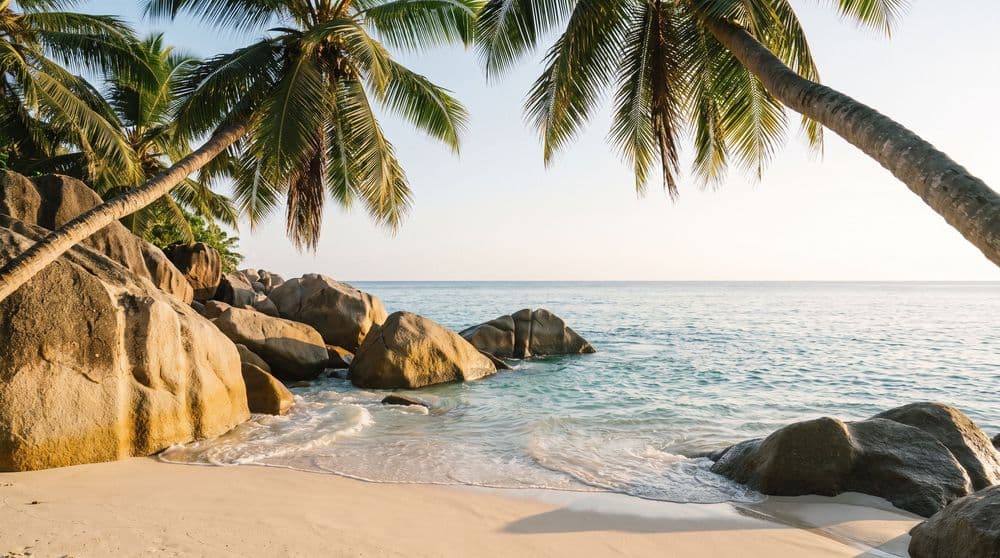 Weathered granite boulders and leaning coconut palms framing a calm turquoise bay at golden hour