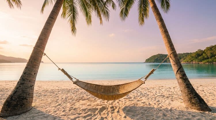 A single empty woven hammock strung between two leaning coconut palms over pale sand at the edge of a calm turquoise bay at golden hour