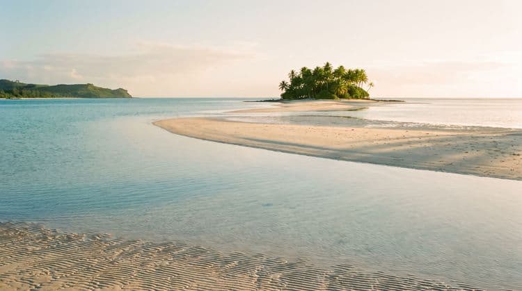 A small palm-covered islet just offshore in calm shallow turquoise water at golden hour, with a pale sandbar curving toward it