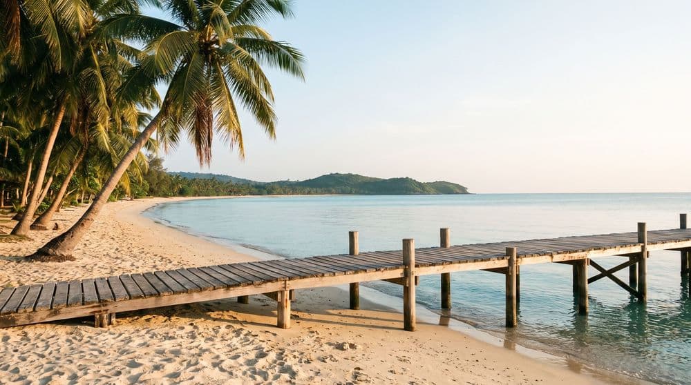 A weathered wooden jetty at golden hour, reaching over calm water along a long, quiet palm-backed beach toward a green headland