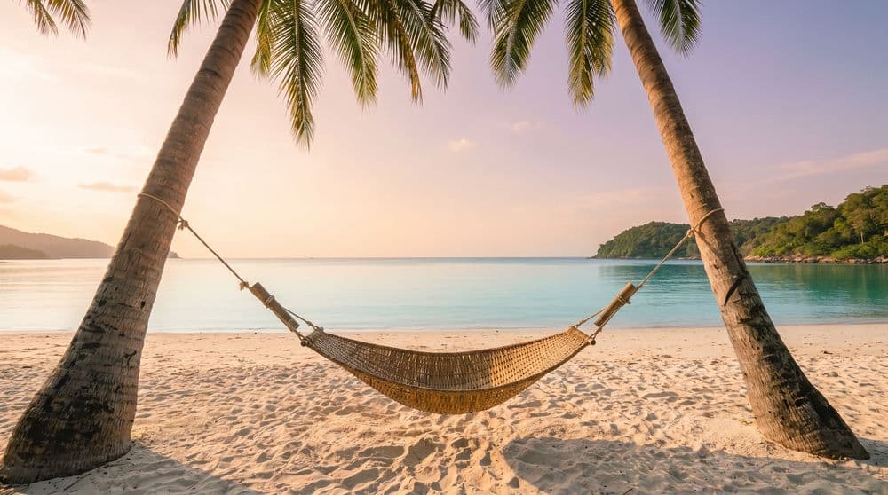 A single empty woven hammock strung between two leaning coconut palms over pale sand at the edge of a calm turquoise bay at golden hour