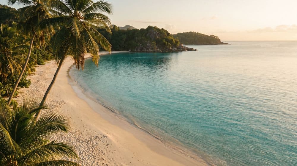 Clear shallow turquoise water shelving over pale sand at a quiet Koh Samui bay at golden hour, palms leaning in and a green headland beyond