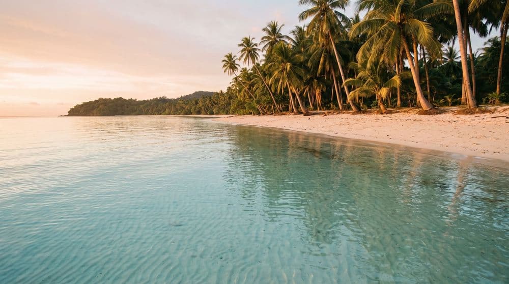 Shallow clear turquoise water at golden hour looking back to a quiet Koh Samui shore shaded by leaning coconut palms